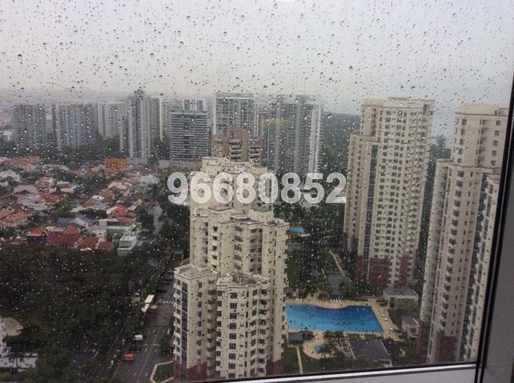 The Meyerise (D15), Condominium #138387452